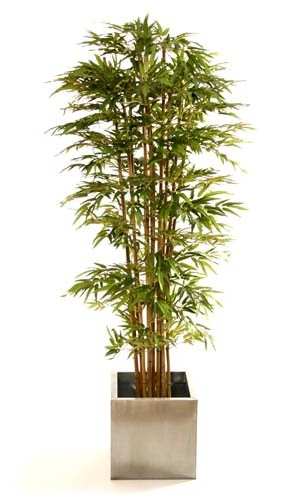 7ft artificial Japanese bamboo