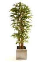 7ft artificial Japanese bamboo plant