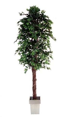 large artificial Ficus plant