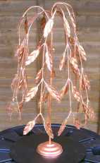 Copper Willow Tree