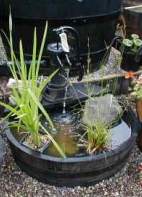 Colour changing LED lights