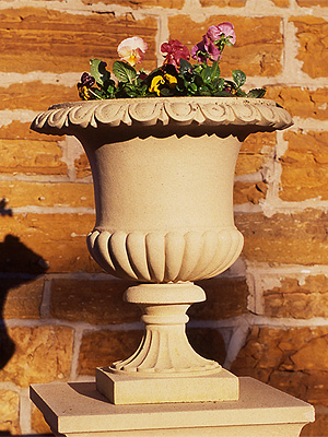 Etruscan Vase