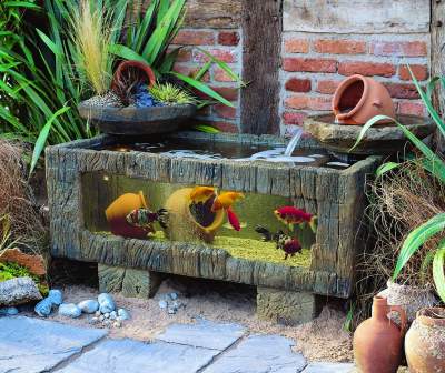 Sea Chest Aquarium