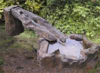 Fallen Tree water feature
