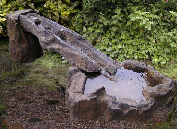 fallen tree water feature